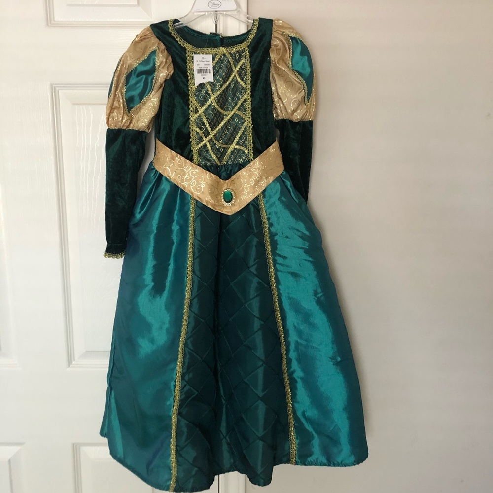 Girls medieval costume